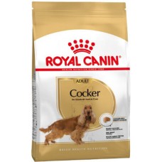 Royal Canin Breed Health Nutrition διατροφή υγείας cocker 3kg