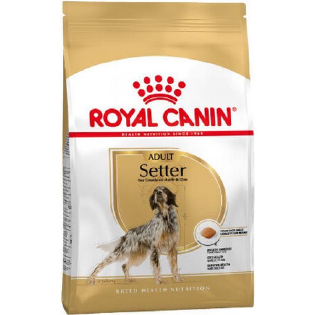 Royal Canin πλήρης τροφή Health Nutrition για ενήλικες σκύλους φυλής setter 12kg