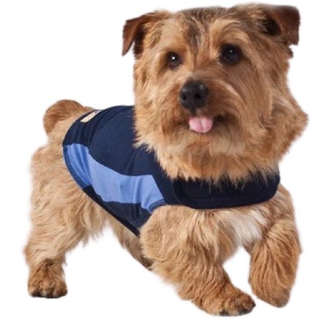 THUNDERSHIRT ΚΑΤΑΠΟΛΕΜΗΣΗΣ ΤΟΥ ΑΓΧΟΥΣ ΓΙΑ ΣΚΥΛΟΥΣ S