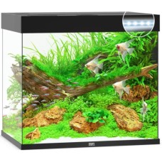 Juwel Lido LED Aquarium Μαύρο ταιριάζει κομψά σε κάθε περιβάλλον χάρη στον διακριτικό σχεδιασμό του