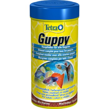 TETRA GUPPY FOOD NFDI - ΕΝΙΣΧΥΕΙ ΤΟΝ ΧΡΩΜΑΤΙΣΜΟ