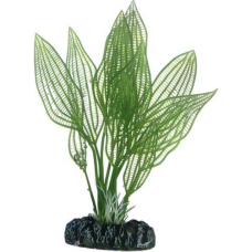 Hobby Διακοσμητικό φυτό Aponogeton για φυσικό και αυθεντικό αποτέλεσμα