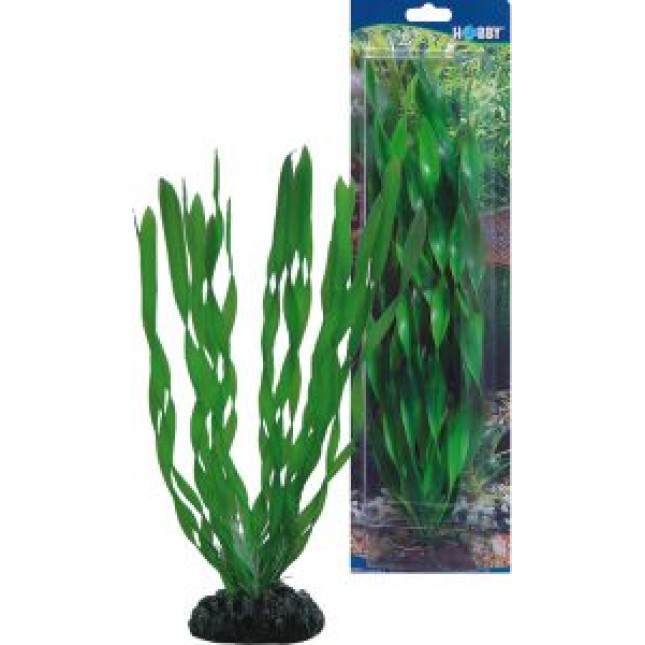 Hobby Vallisneria πλαστικό διακοσμητικό φυτό για ενυδρεία