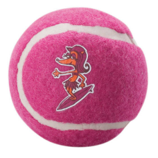 ΠΑΙΧΝΙΔΙ ΣΚΥΛΟΥ MOLECULES TENNIS PINK SMALL