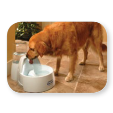 ΚΡΗΝΗ PET SAFE FOUNT. DRINKWELL GR 8.5L