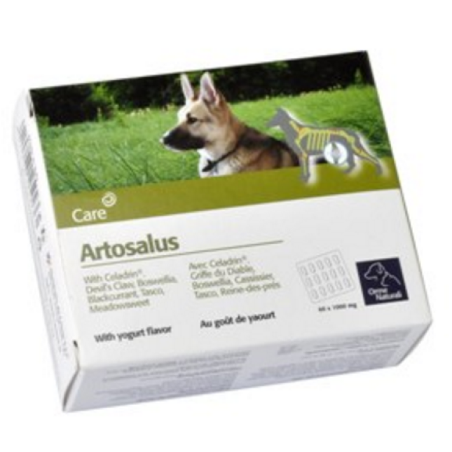 camon χάπι artosalus tablets/gel