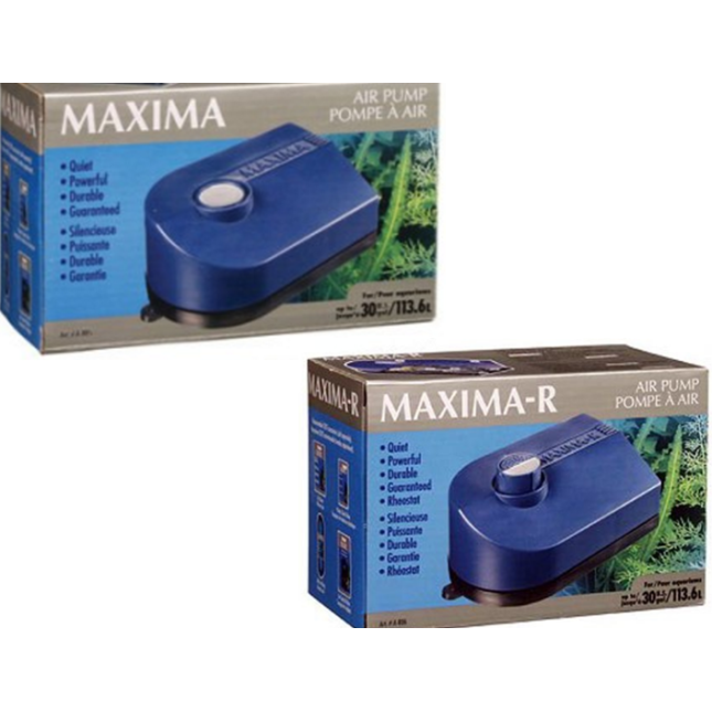 maxima r air pump