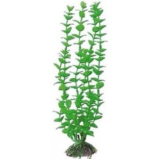 Wave διακοσμητικό φυτό rotala 27cm