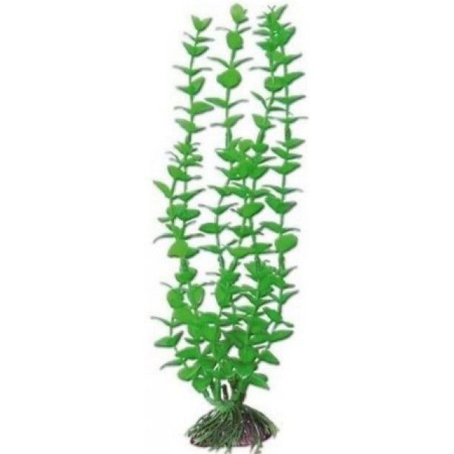 Wave διακοσμητικό φυτό rotala 27cm