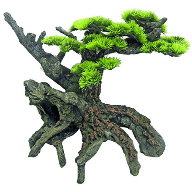 Wave ιαπωνικό bonsai