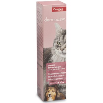 Candioli dermousse δερματολογικός αφρός 200ml