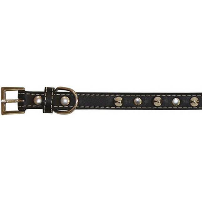 Croci Leather περιλαίμιο σκύλου with studs black 2,5x50 cm.