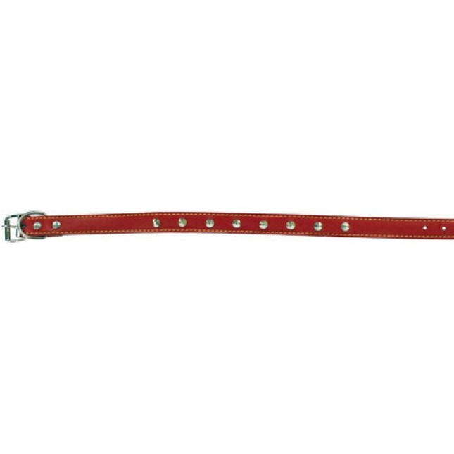 Croci Double studded περιλαίμιο σκύλου red