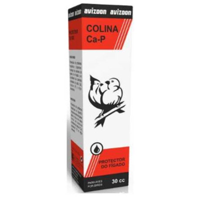 Avizoon colina Ca-P για ηπατικά προβλήματα 30ml