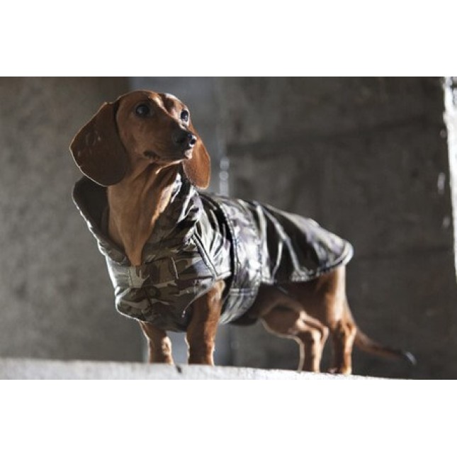 Croci μπουφάν dachshund military 39cm