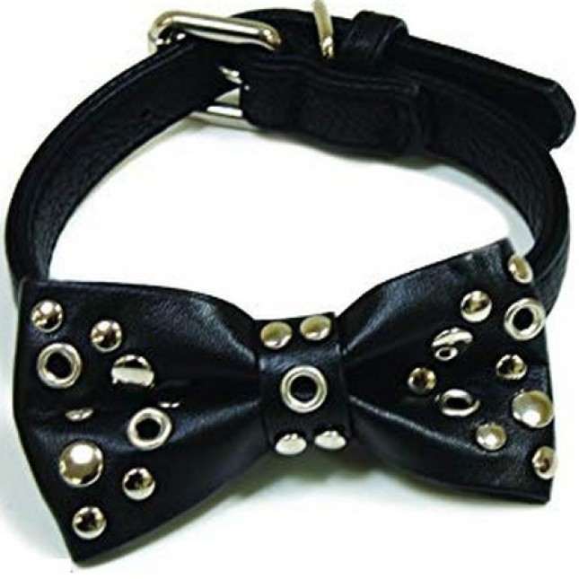 Croci περιλαίμιο Collar vanity metal bow 1,5x35cm