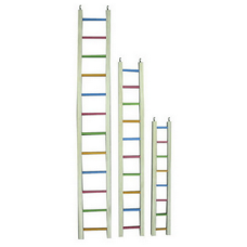 Happypet wooden ladder multi coloured 122cm χρωματιστή σκάλα παιχνίδι για ωδικά