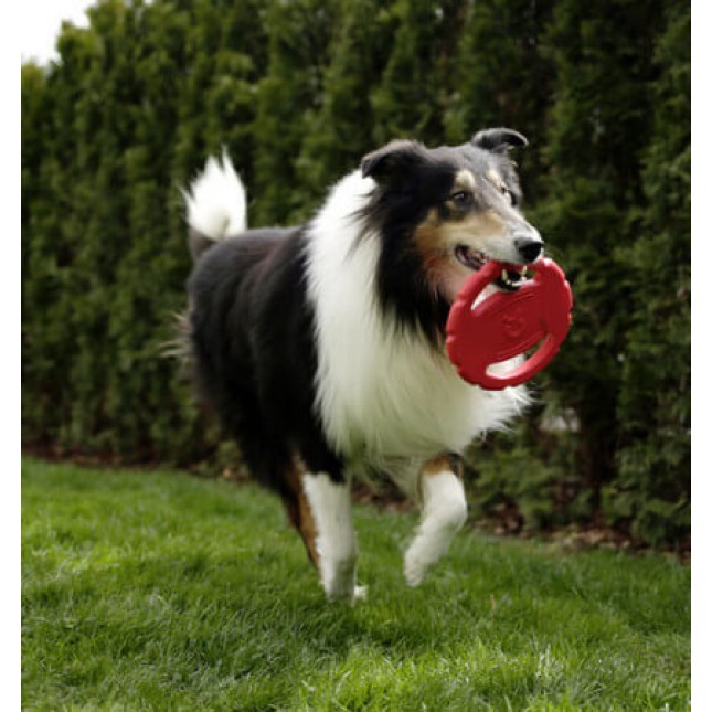 Kerbl toyfastic frisbee χρήσιμο για να βελτιώσετε τα ανακλαστικά του σκύλου σας