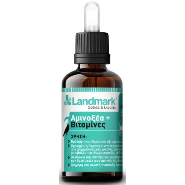 Landmark Αμινοξέα+Βιταμίνες 100ml