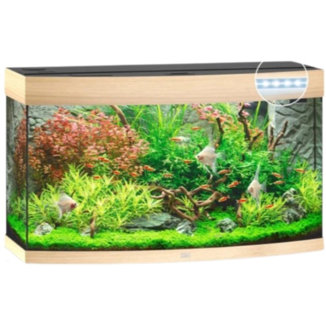 Juwel Vision 180 LED Aquarium οξιά 92x41x55cm