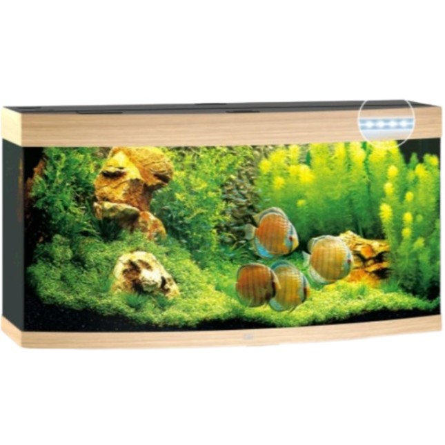 Juwel Vision 260 LED ενυδρείο οξιά 121x46x64cm