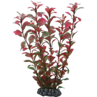 Hobby Ludwigia 25cm