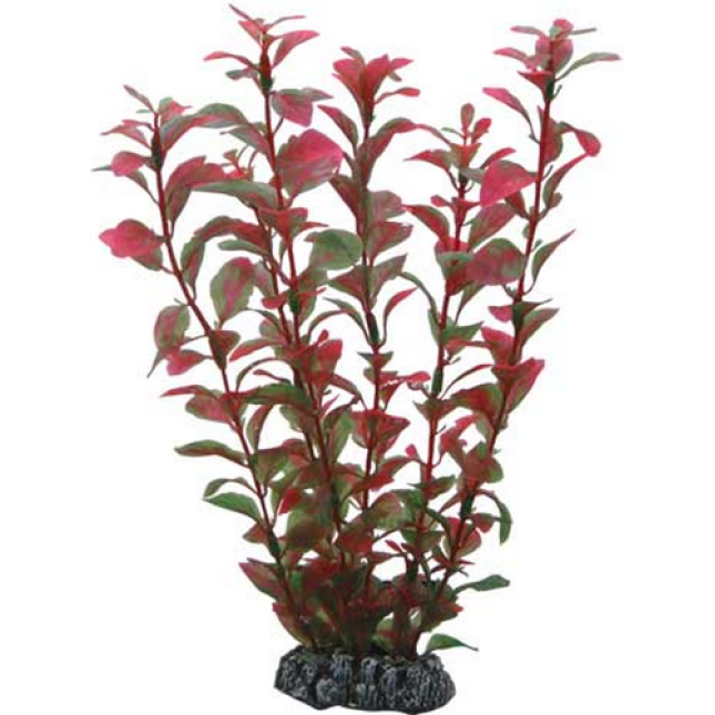 Hobby Ludwigia 25cm