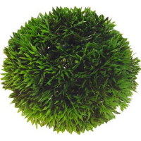 Hobby Plant Ball φυτό  13cm