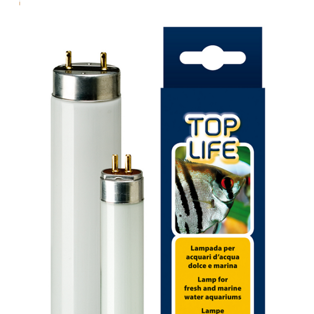 ferplast λάμπα νέον toplife 24w  t5