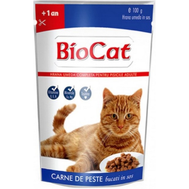 Biocat  ψάρι 100gr