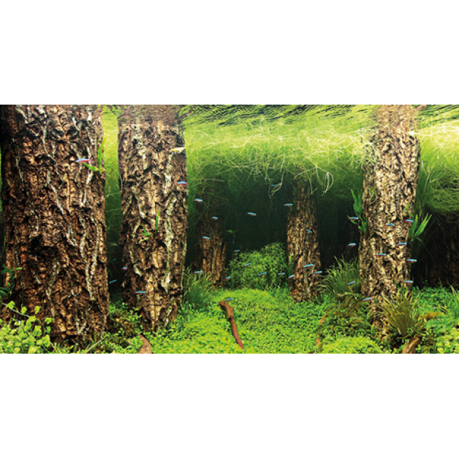 Hobby αφίσα Background Scaper's Hill/Scaper's Forest