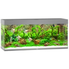 Juwel Rio 240 LED ενυδρείο Γκρι 121x41x55cm