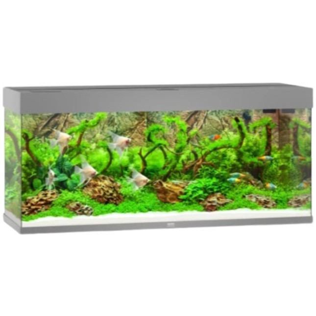 Juwel Rio 240 LED ενυδρείο Γκρι 121x41x55cm