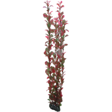 Hobby Ludwigia 60cm