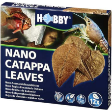 Hobby φύλλα Catappa Leaves για τη θεραπεία βακτηριακών παθήσεων και την επούλωση τραυμάτων ψαριών