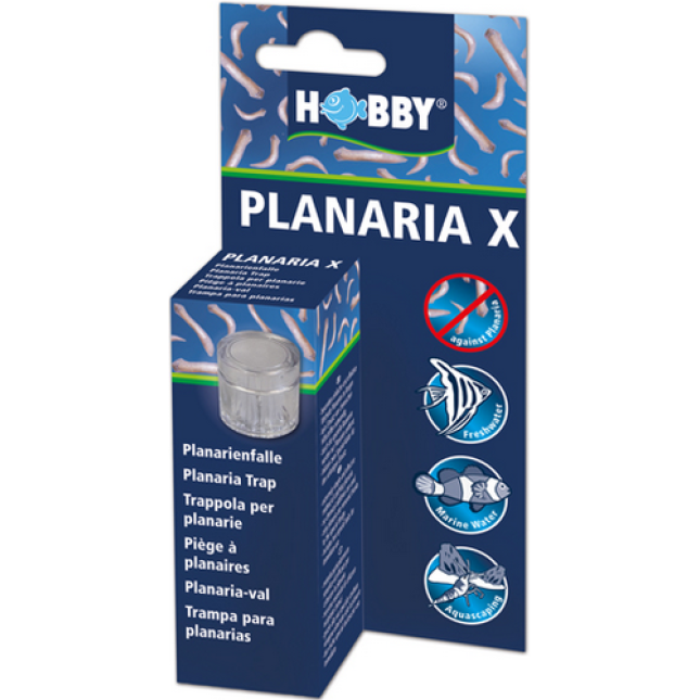 Hobby Planaria X μέθοδος σύλληψης πλανάρια για ανεπιθύμητους επισκέπτες σε ένα ενυδρείο